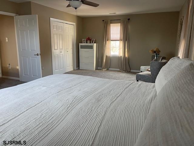 bedroom featuring carpet flooring, ceiling fan, and a closet