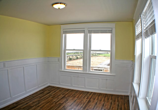 empty room featuring dark hardwood / wood-style flooring