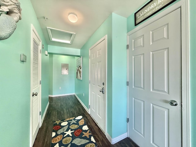 hallway featuring dark hardwood / wood-style flooring