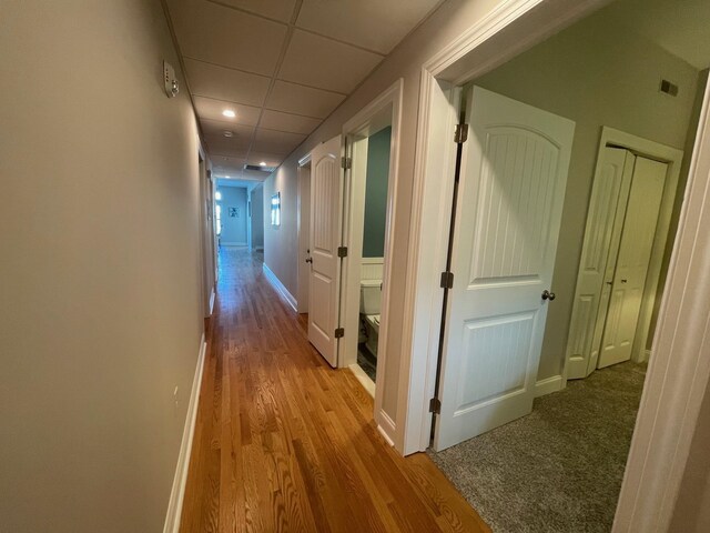 hallway featuring a drop ceiling and light hardwood / wood-style flooring