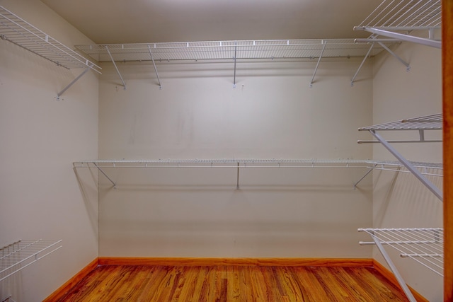 walk in closet featuring wood-type flooring