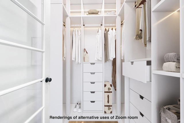 view of spacious closet