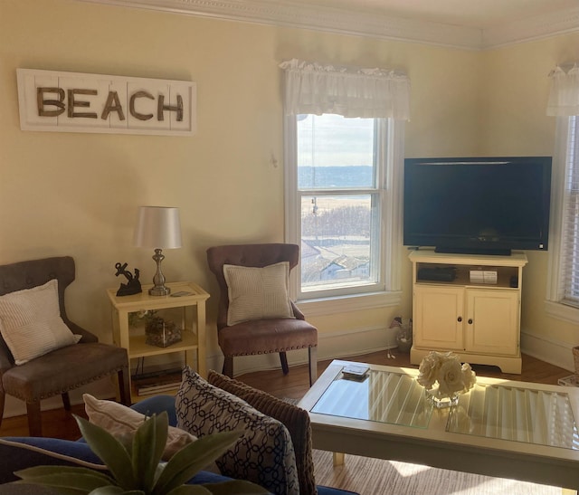 living area featuring hardwood / wood-style flooring and ornamental molding