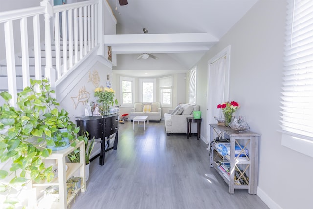1025 Rte 47 S, Rio Grande, NJ 08204 - living area with ceiling fan, wood finished floors, and baseboards