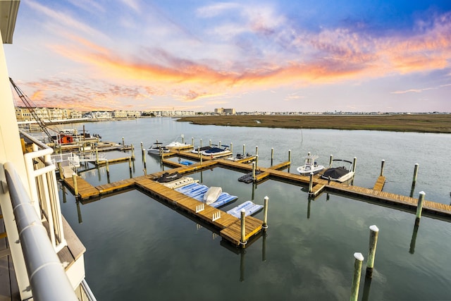 dock area with a water view