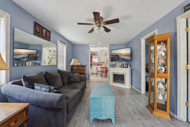 living room with ceiling fan and light hardwood / wood-style floors