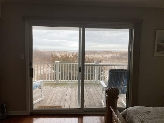 interior space with hardwood / wood-style floors and multiple windows