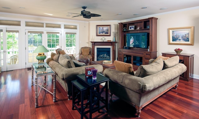 living room with ceiling fan, dark hardwood / wood-style floors, and ornamental molding