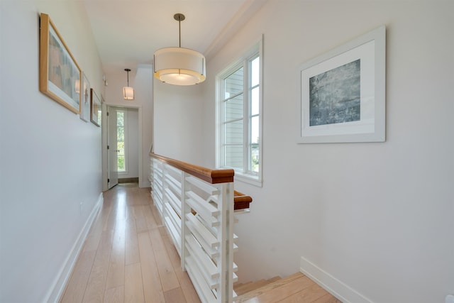 312 S Lake Dr, Cape May Point, NJ 08212 - hallway with light wood-type flooring and baseboards