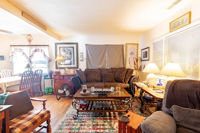 living room featuring hardwood / wood-style floors