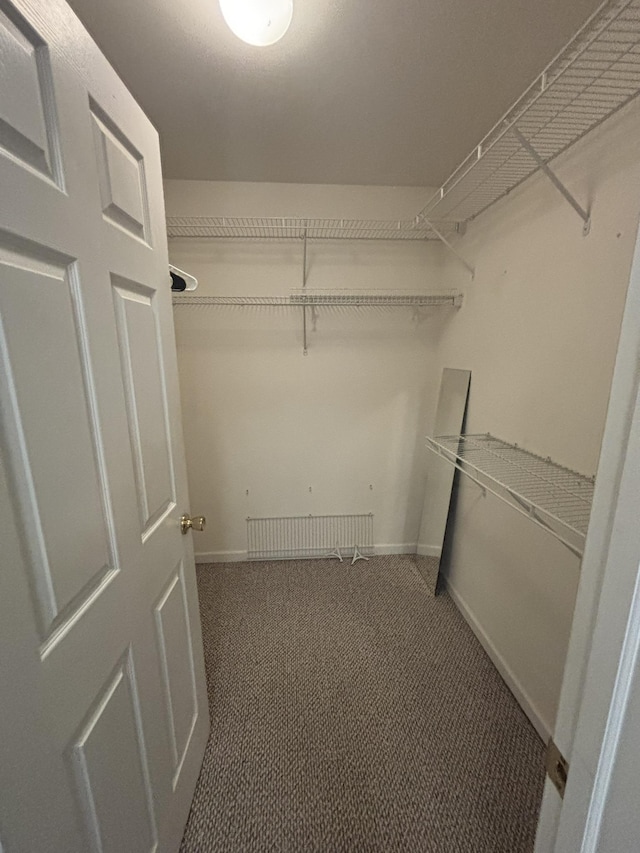 410 N 7th St Unit A, Rio Grande, NJ 08242 - spacious closet featuring carpet floors