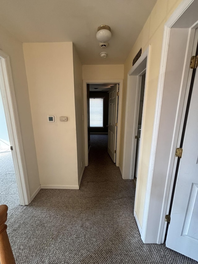 410 N 7th St Unit A, Rio Grande, NJ 08242 - hallway with carpet floors