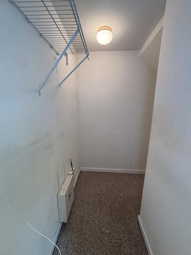 410 N 7th St Unit A, Rio Grande, NJ 08242 - spacious closet with carpet floors