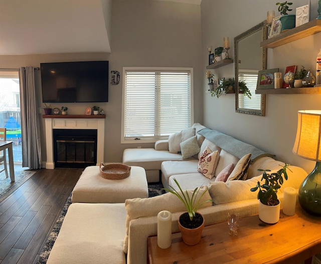 living room featuring plenty of natural light and dark hardwood / wood-style floors