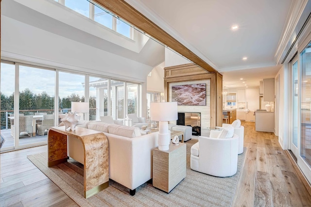 living room featuring light hardwood / wood-style floors and ornamental molding