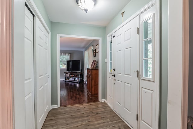 interior space with dark wood-type flooring