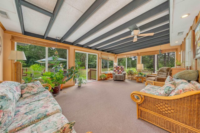 771 Dennisville Rd, Dennisville, NJ 08210 - photo 14