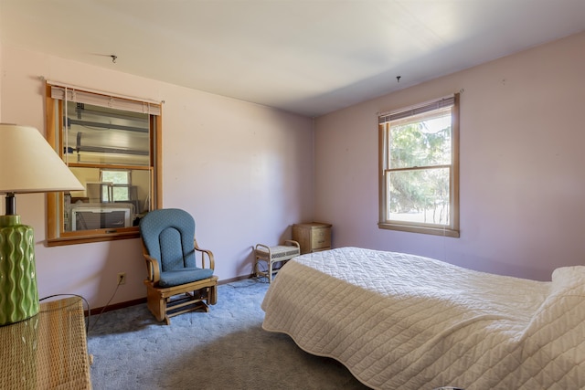 bedroom featuring baseboards and carpet floors