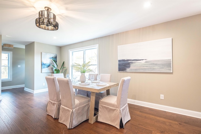 dining space featuring dark hardwood / wood-style flooring