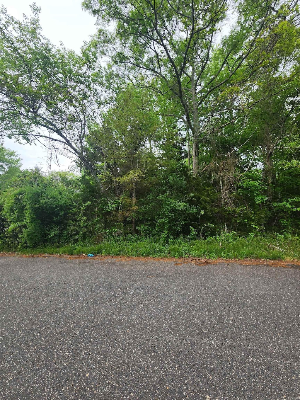 104 E Anna St, Whitesboro, NJ 08210 - photo 1