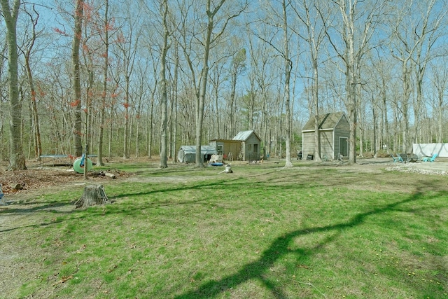 view of yard with a storage unit, an outdoor structure, and a trampoline