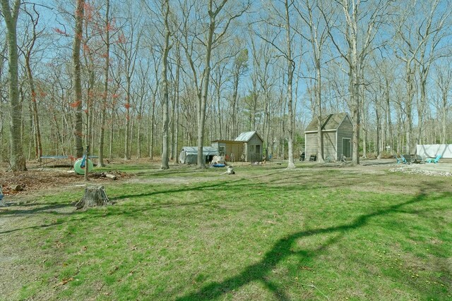 view of yard featuring a trampoline and an outbuilding