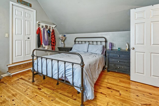 bedroom featuring wood finished floors and vaulted ceiling