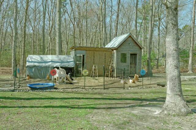 view of poultry coop