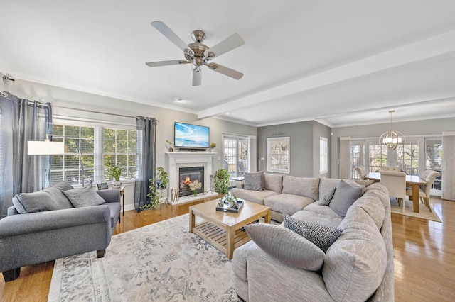 living area featuring ornamental molding, a glass covered fireplace, ceiling fan with notable chandelier, and wood finished floors