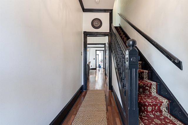 staircase with hardwood / wood-style floors