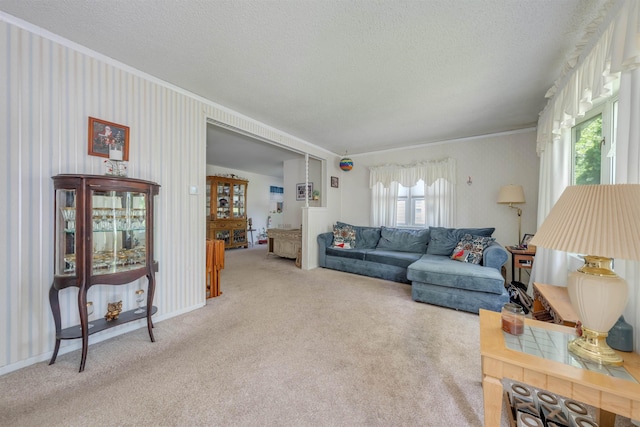 11 S 9th St, Del Haven, NJ 08251 - living area with crown molding, light colored carpet, and a textured ceiling