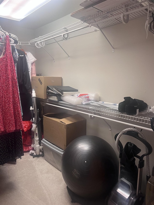 407 Elmwood Ave, Marmora, NJ 08223 - walk in closet with carpet flooring