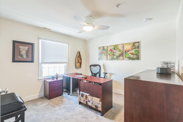 839 Park Pl Unit 2, Ocean City, NJ 08226 - photo 18