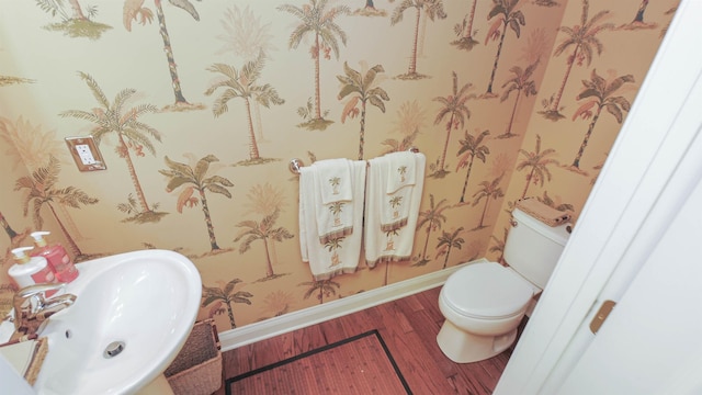 bathroom featuring hardwood / wood-style flooring, toilet, and sink