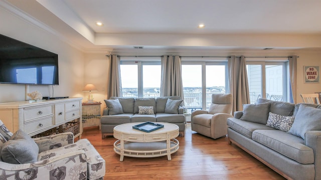 living room featuring light wood-type flooring and a tray ceiling