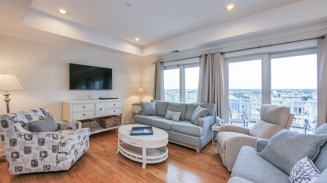 living room with light hardwood / wood-style flooring and a raised ceiling