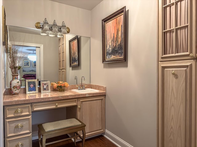 bathroom with hardwood / wood-style floors and vanity