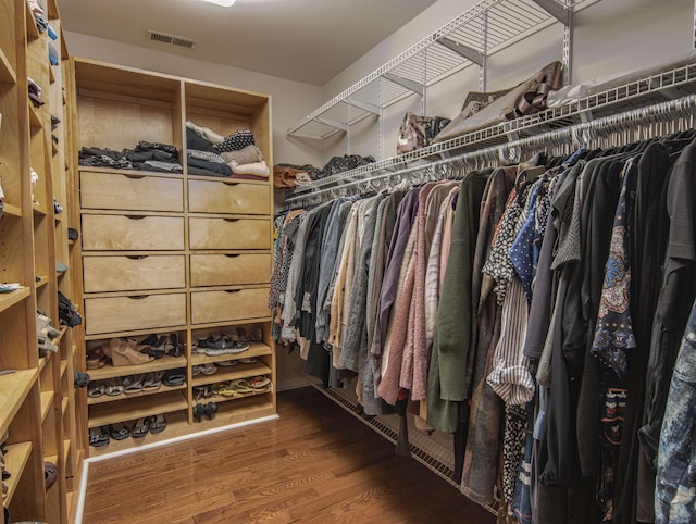 spacious closet featuring dark wood-type flooring