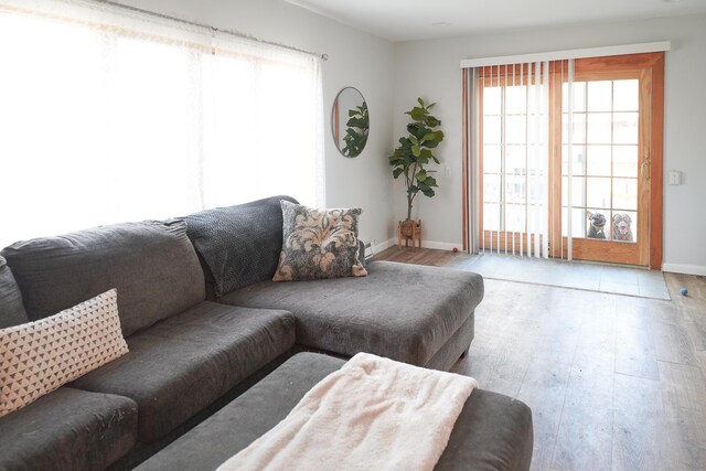 interior space featuring baseboards and carpet floors