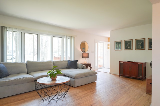 living room featuring light wood-style flooring and plenty of natural light