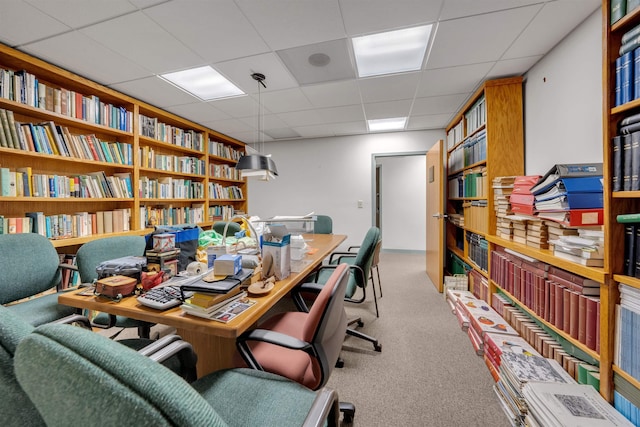 carpeted office space with a paneled ceiling