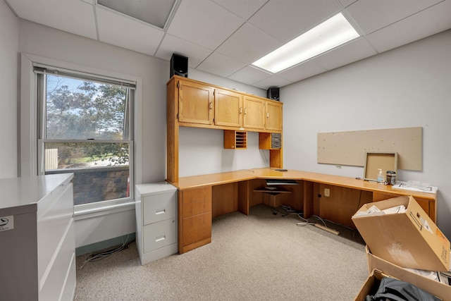 office area with a paneled ceiling and light colored carpet