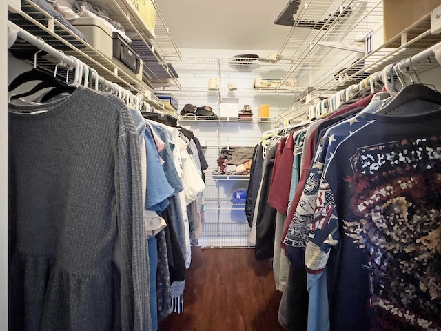 spacious closet featuring dark wood finished floors