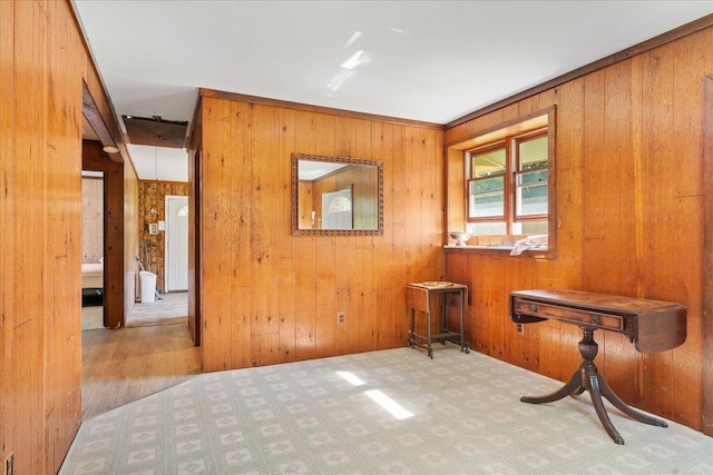 miscellaneous room featuring light colored carpet and wooden walls