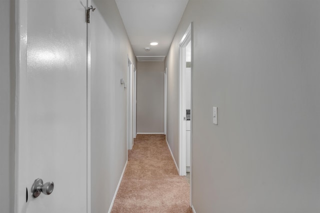 hall featuring light colored carpet