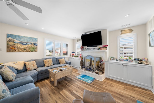 living room featuring a fireplace, a healthy amount of sunlight, and light hardwood / wood-style floors