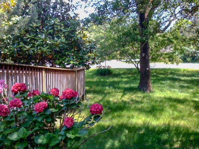 view of yard featuring a wooden deck