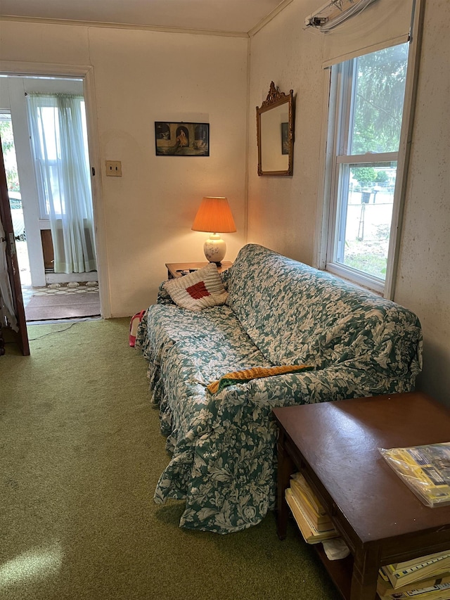 149 E Florida Ave, Villas, NJ 08251 - living room with carpet