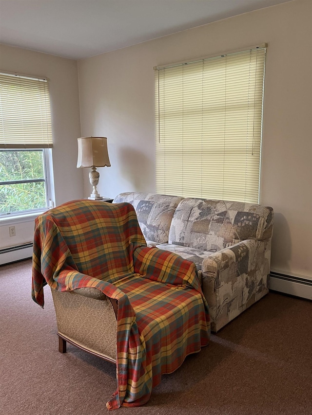 149 E Florida Ave, Villas, NJ 08251 - living area with carpet flooring and baseboard heating