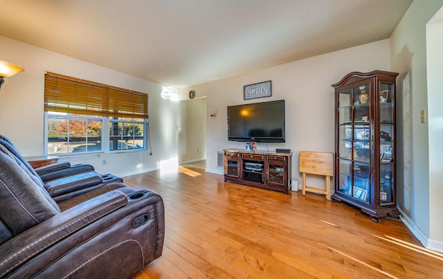 living room featuring hardwood / wood-style floors